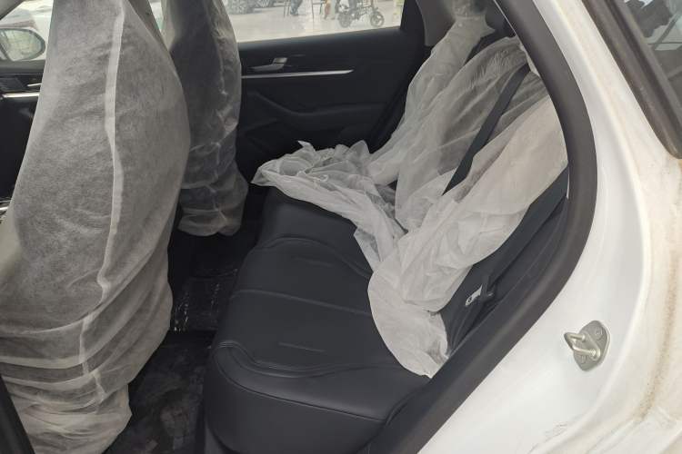 Used BYD Qin PLUS 2021 EV 400KM Leading Comfort Edition Left Rear Seat