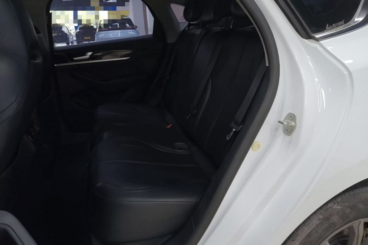 Used BYD Qin PLUS 2021 EV 400KM Leading Comfort Edition Left Rear Seat
