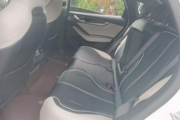 Used BYD Qin PLUS 2021 EV 500KM Premium Model Left Rear Seat