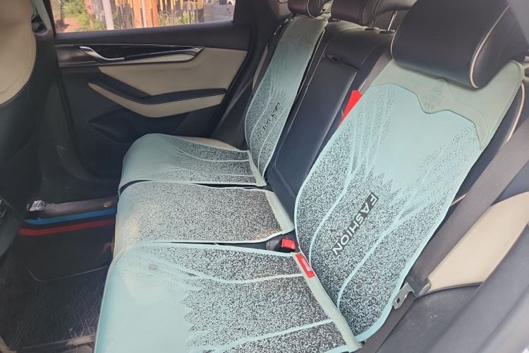 Used BYD Qin PLUS 2021 EV 500KM Premium Model Left Rear Seat