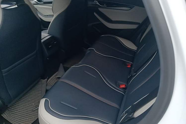 Used BYD Qin PLUS 2021 DM-i 55KM Flagship Model Left Rear Seat