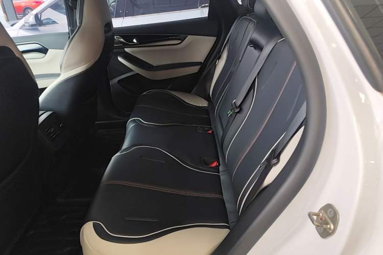 Used BYD Qin PLUS 2021 DM-i 55KM Flagship Model Left Rear Seat