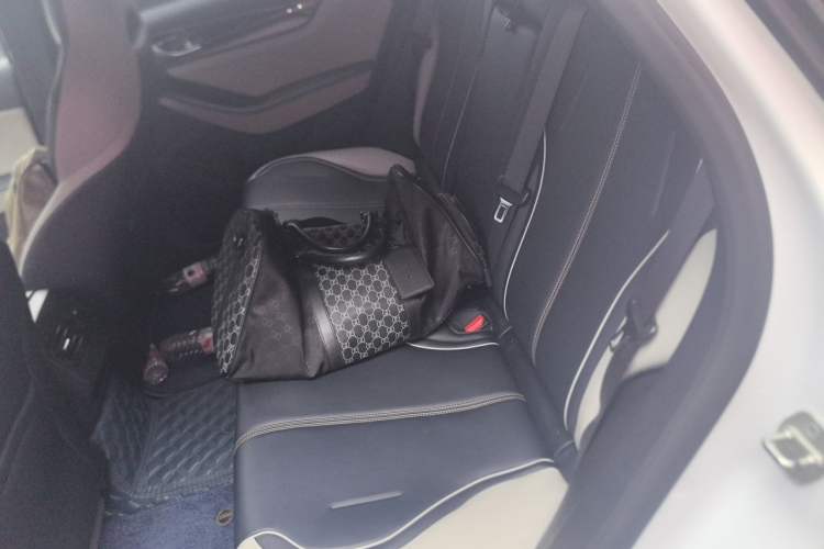 Used BYD Qin PLUS 2021 DM-i 55KM Flagship Model Left Rear Seat