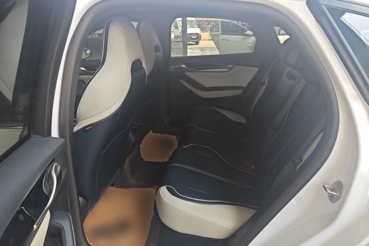 Used BYD Qin PLUS 2021 DM-i 120KM Prestige Model Left Rear Seat