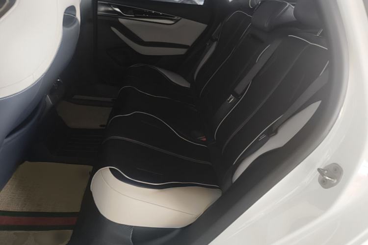 Used BYD Qin PLUS 2021 DM-i 55KM Flagship Model Left Rear Seat