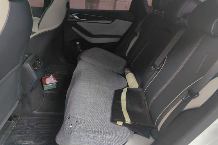 Used BYD Qin PLUS 2021 DM-i 55KM Flagship Model Left Rear Seat