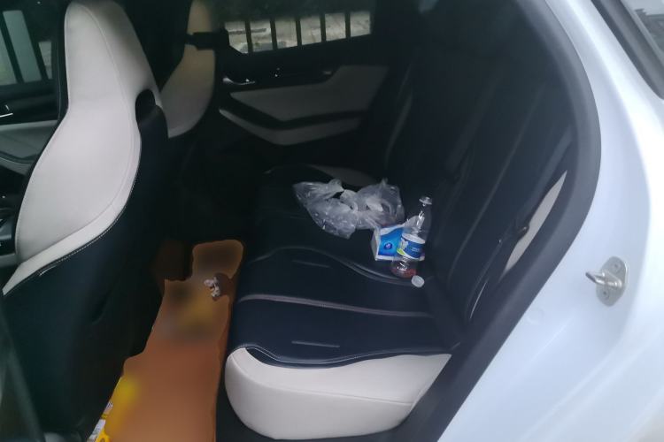 Used BYD Qin PLUS 2021 DM-i 55KM Prestige Model Left Rear Seat