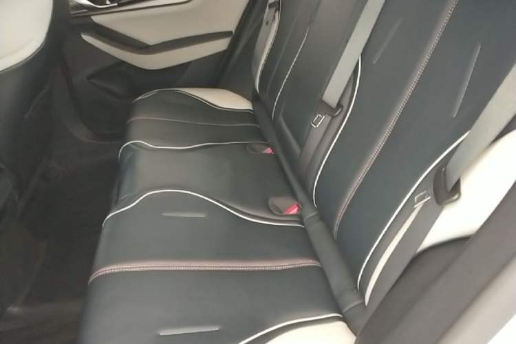 Used BYD Qin PLUS 2021 DM-i 55KM Flagship Model Left Rear Seat