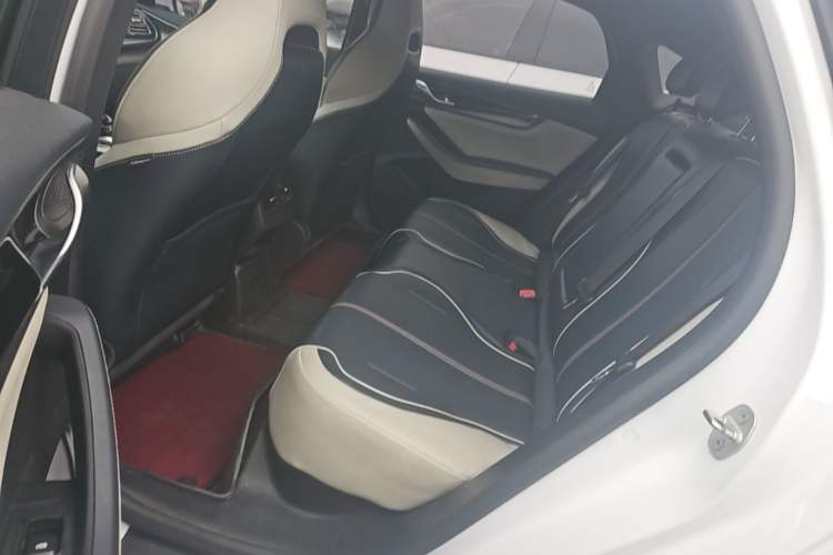 Used BYD Qin PLUS 2021 EV 500KM Luxury Model Left Rear Seat