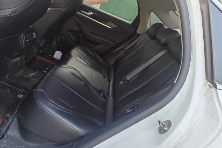 Used BYD Qin PLUS 2021 EV 420KM Commuter Edition Left Rear Seat