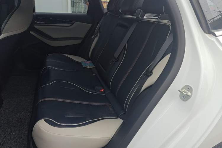 Used BYD Qin PLUS 2021 DM-i 55KM Flagship Model Left Rear Seat