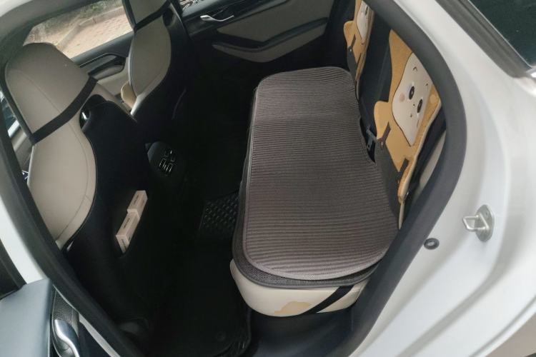 Used BYD Qin PLUS 2021 DM-i 55KM Flagship Model Left Rear Seat