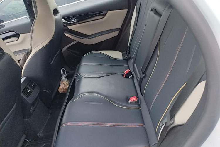 Used BYD Qin PLUS 2021 EV 500KM Premium Model Left Rear Seat
