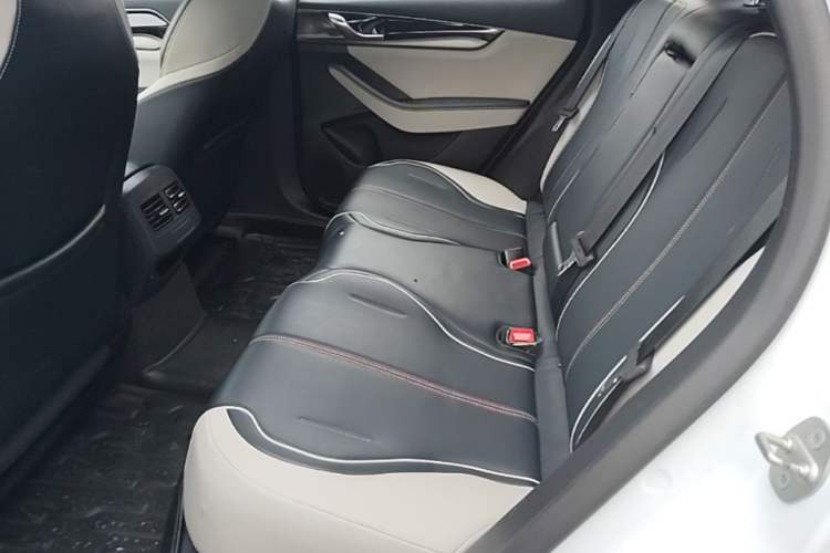 Used BYD Qin PLUS 2021 EV 500KM Luxury Model Left Rear Seat