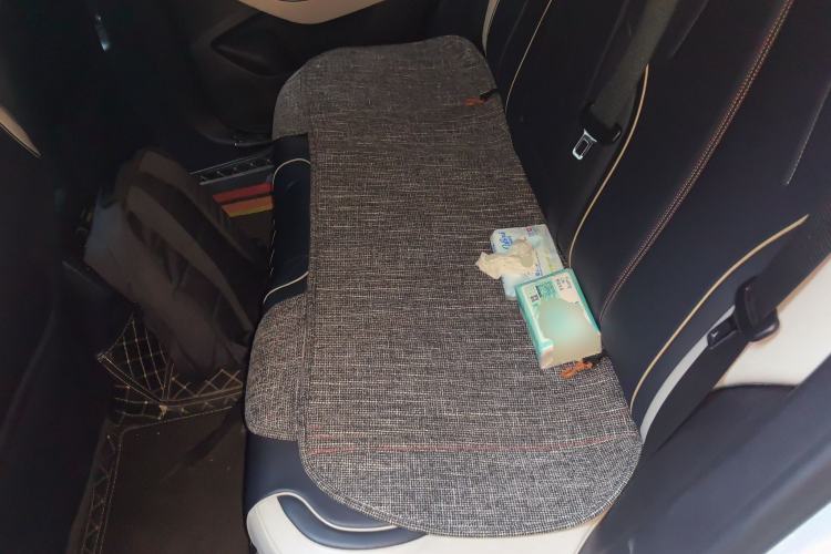 Used BYD Qin PLUS 2021 DM-i 55KM Flagship Model Left Rear Seat