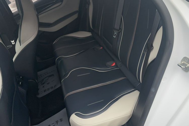 Used BYD Qin PLUS 2021 DM-i 55KM Flagship Model Left Rear Seat