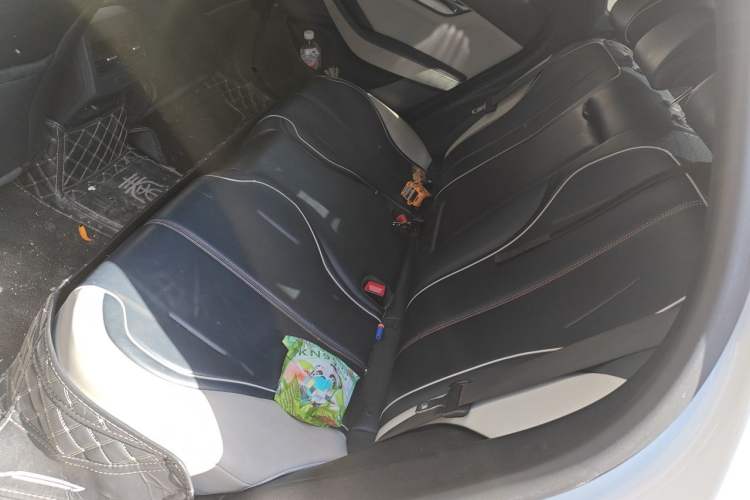 Used BYD Qin PLUS 2021 EV 500KM Premium Model Left Rear Seat
