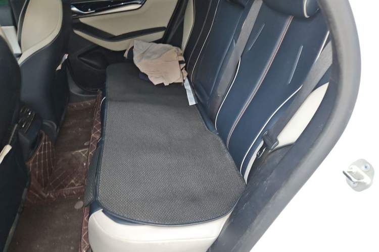 Used BYD Qin PLUS 2021 EV 500KM Luxury Model Left Rear Seat