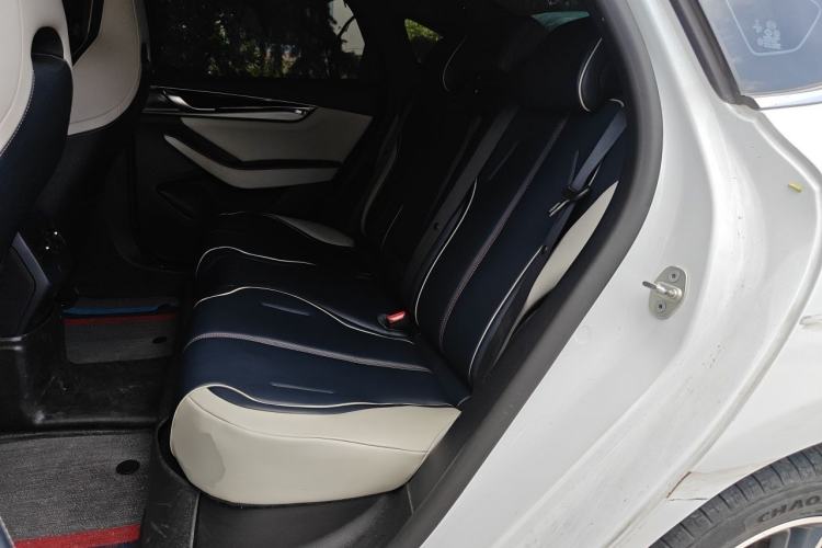 Used BYD Qin PLUS 2021 DM-i 120KM Flagship Model Left Rear Seat