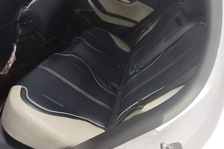 Used BYD Qin PLUS 2021 EV 500KM Luxury Model Left Rear Seat