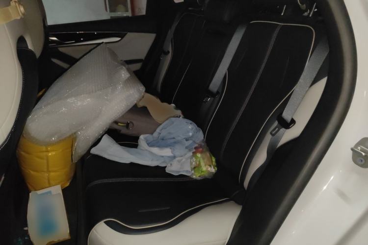 Used BYD Qin PLUS 2021 DM-i 55KM Flagship Model Left Rear Seat
