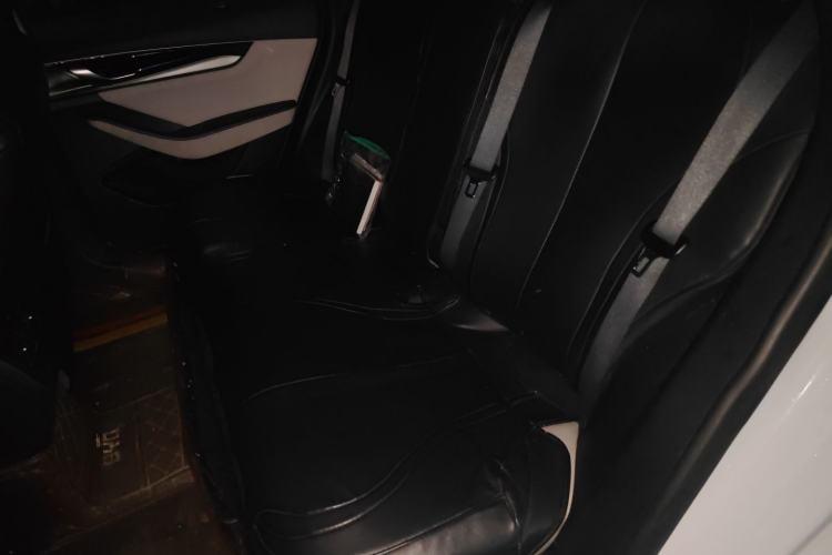 Used BYD Qin PLUS 2021 DM-i 55KM Flagship Model Left Rear Seat