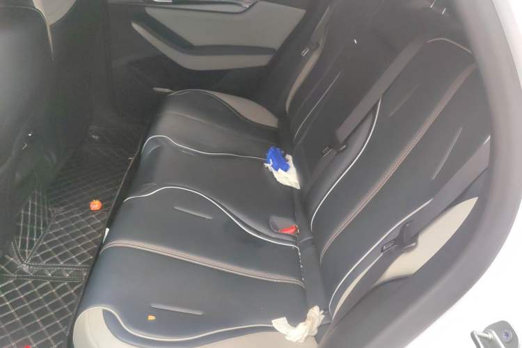 Used BYD Qin PLUS 2021 DM-i 120KM Prestige Model Left Rear Seat