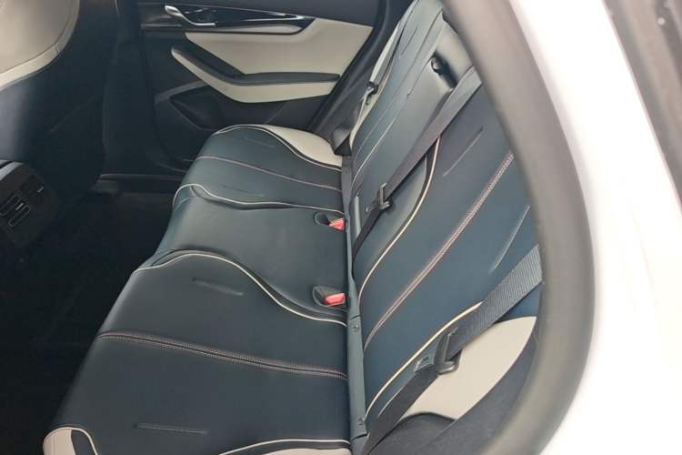 Used BYD Qin PLUS 2021 DM-i 55KM Flagship Model Left Rear Seat