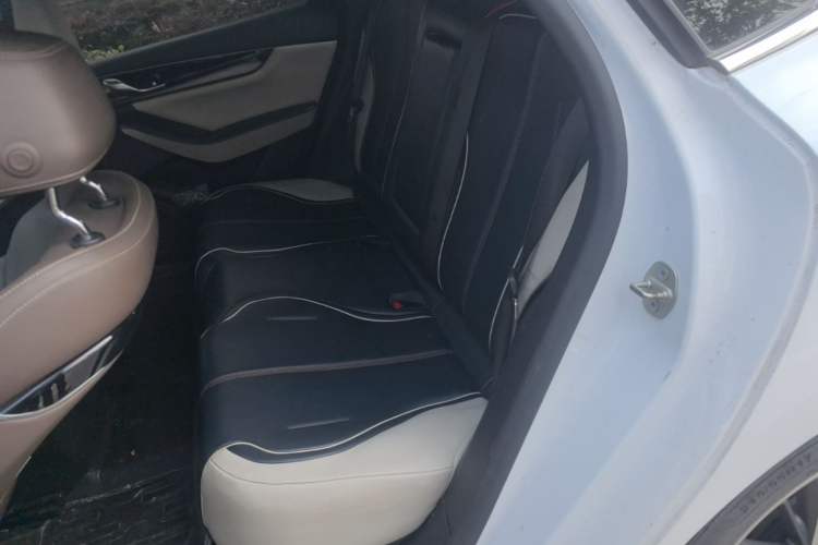 Used BYD Qin PLUS 2021 EV 500KM Luxury Model Left Rear Seat