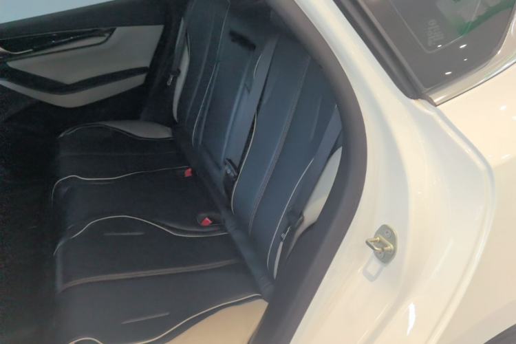 Used BYD Qin PLUS 2021 EV 400KM Luxury Model Left Rear Seat