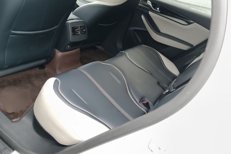 Used BYD Qin PLUS 2021 EV 500KM Premium Model Left Rear Seat