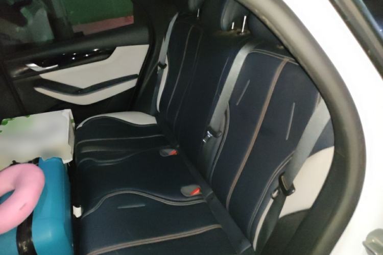 Used BYD Qin PLUS 2021 DM-i 55KM Prestige Model Left Rear Seat