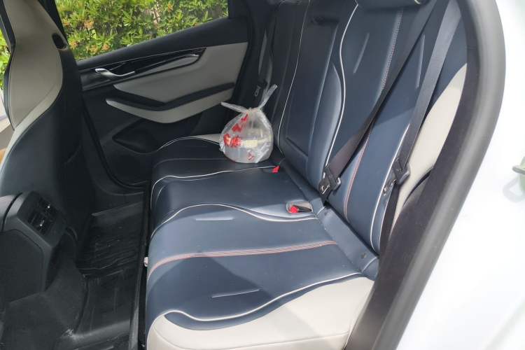 Used BYD Qin PLUS 2021 EV 400KM Luxury Model Left Rear Seat
