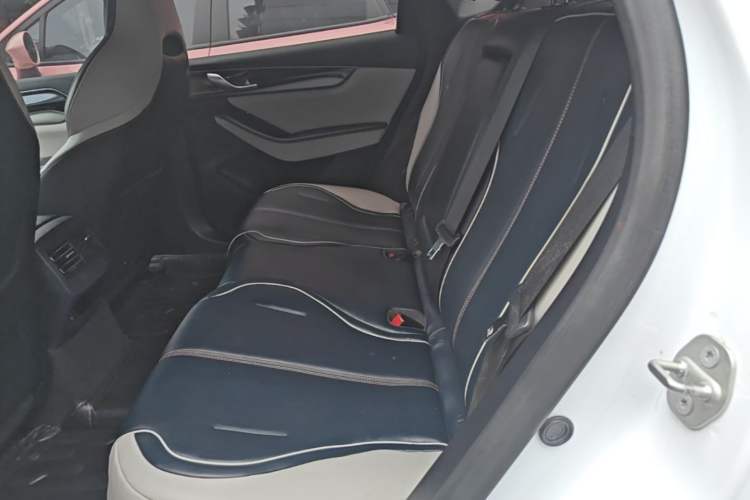 Used BYD Qin PLUS 2021 EV 500KM Luxury Model Left Rear Seat
