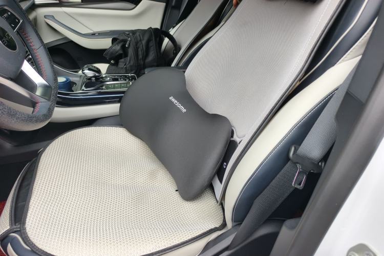Used BYD Qin PLUS 2021 DM-i 55KM Flagship Model Left Rear Seat