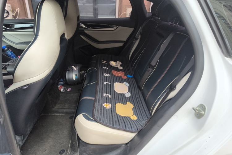 Used BYD Qin PLUS 2021 DM-i 55KM Flagship Model Left Rear Seat