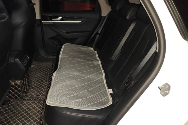 Used BYD Qin PLUS 2021 EV 400KM Leading Comfort Edition Left Rear Seat