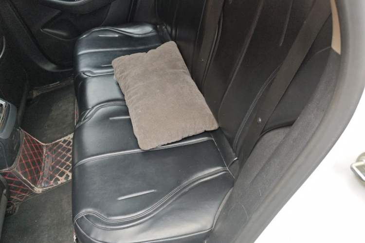 Used BYD Qin PLUS 2021 EV 420KM Commuter Edition Left Rear Seat