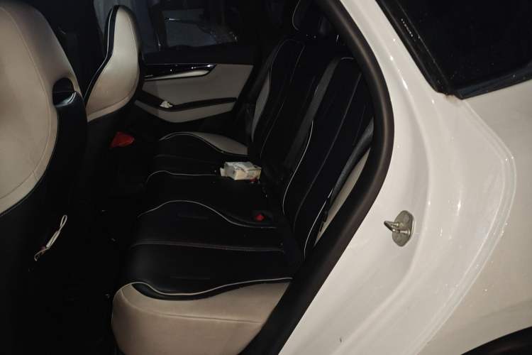 Used BYD Qin PLUS 2021 EV 500KM Luxury Model Left Rear Seat