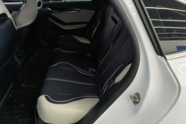 Used BYD Qin PLUS 2021 EV 400KM Luxury Model Left Rear Seat