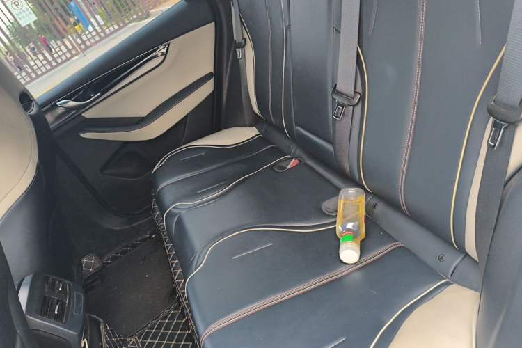 Used BYD Qin PLUS 2021 DM-i 55KM Flagship Model Left Rear Seat