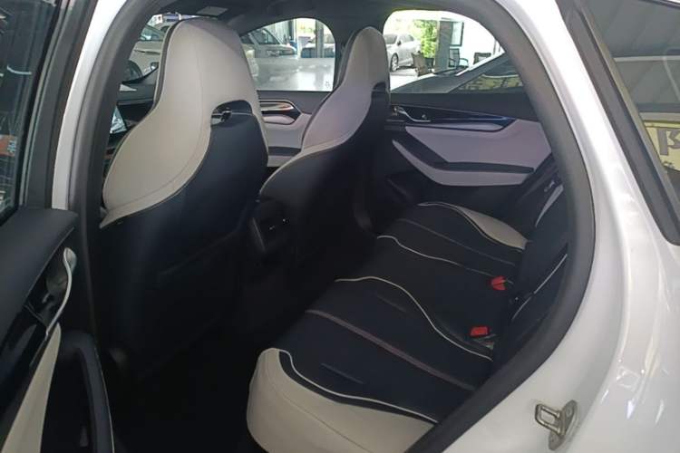 Used BYD Qin PLUS 2021 EV 500KM Premium Model Left Rear Seat