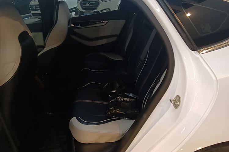 Used BYD Qin PLUS 2021 DM-i 55KM Flagship Model Left Rear Seat