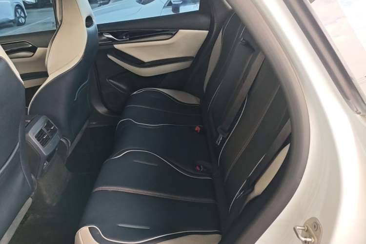Used BYD Qin PLUS 2021 EV 500KM Luxury Model Left Rear Seat