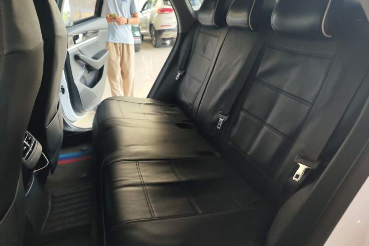 Used BYD Qin PLUS 2021 EV 420KM Commuter Edition Left Rear Seat