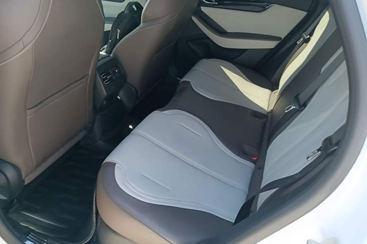 Used BYD Qin PLUS 2021 DM-i 55KM Prestige Model Left Rear Seat