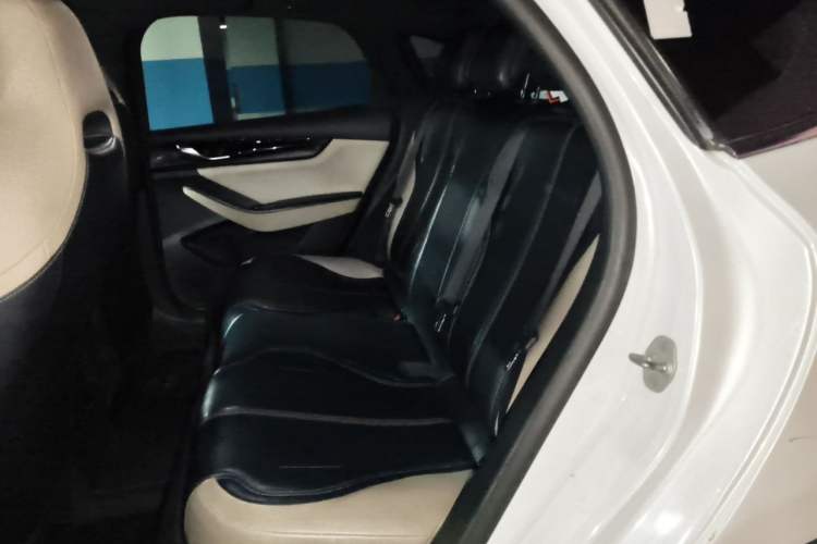 Used BYD Qin PLUS 2021 DM-i 55KM Prestige Model Left Rear Seat