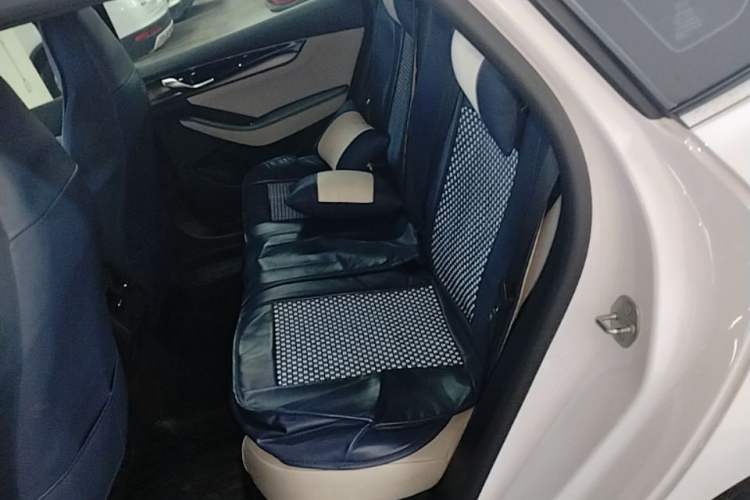 Used BYD Qin PLUS 2021 DM-i 120KM Flagship Model Left Rear Seat