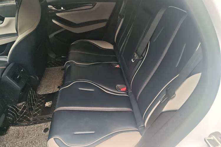 Used BYD Qin PLUS 2021 DM-i 120KM Prestige Model Left Rear Seat