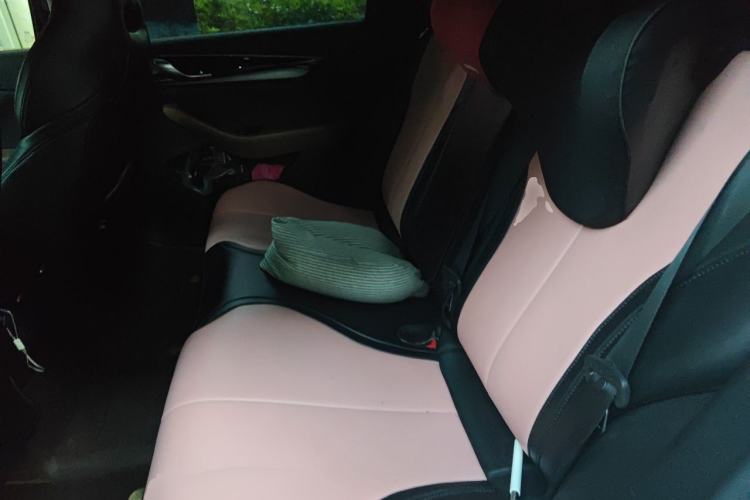 Used BYD Qin PLUS 2021 DM-i 120KM Flagship Model Left Rear Seat